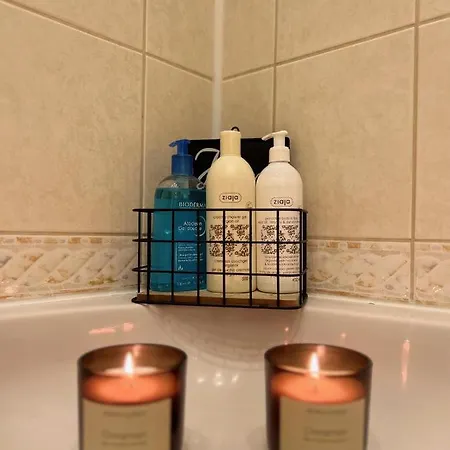 Apartman Shelby *